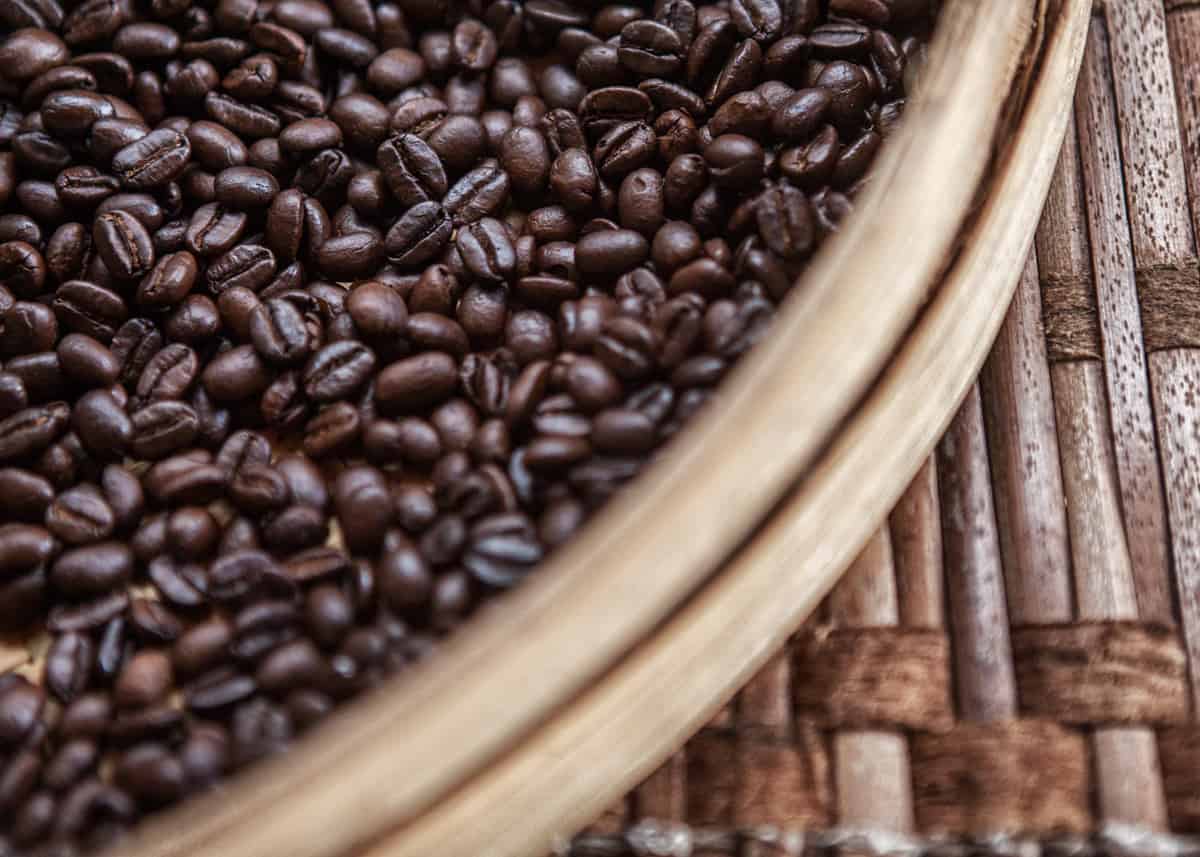 roasted civet coffee beans