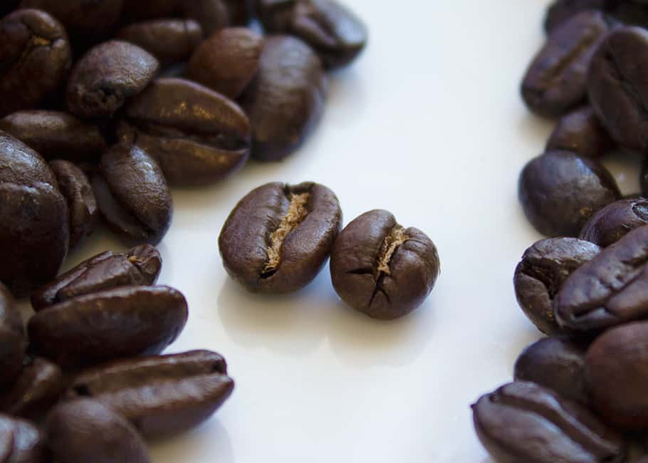 What Is Robusta Coffee Robusta Vs Arabica 12 Differences