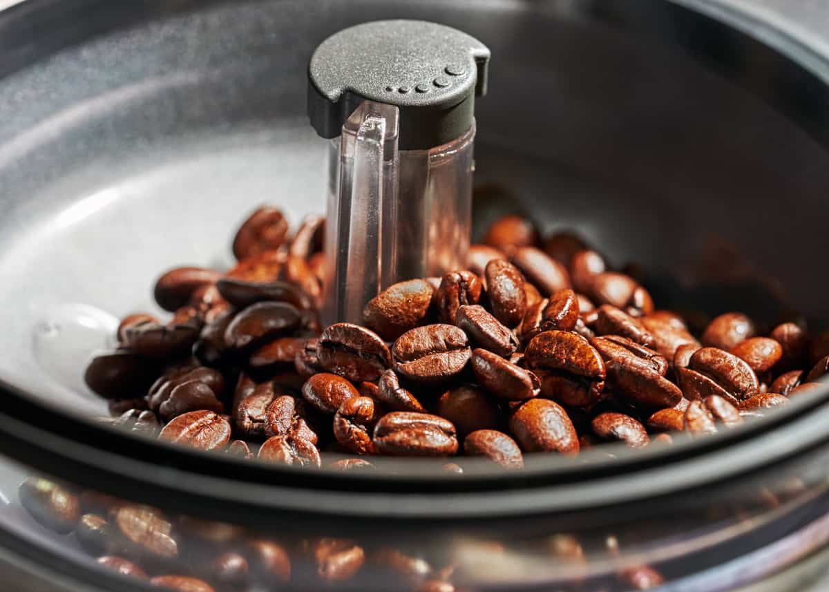 coffee grinders for coffee snobs