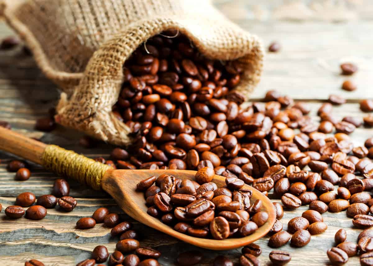 How Long Does Coffee Last? Does Coffee Go Bad? Beans, Grounds, Instant... - EnjoyJava