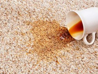how to get coffee out of carpet