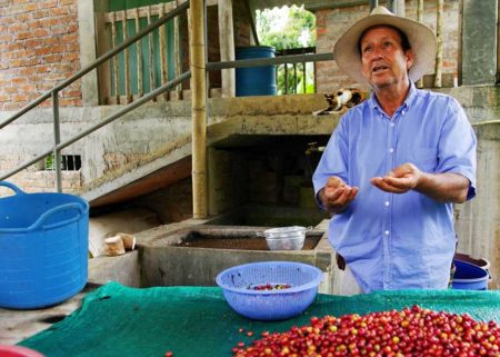 Colombian Coffee Guide: Beans, Brands, Regions, Flavor Notes | EnjoyJava