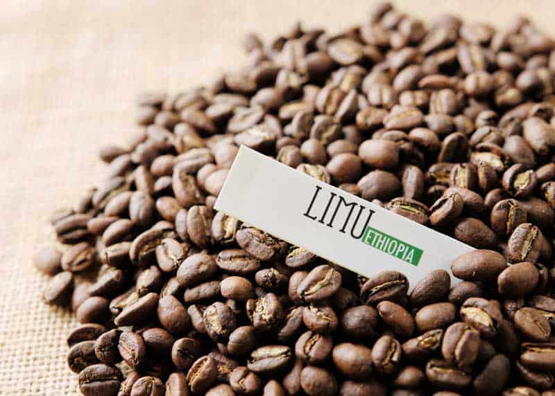 ethiopia coffee bean
