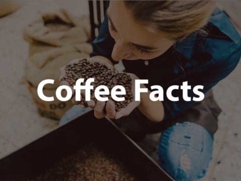 coffee facts